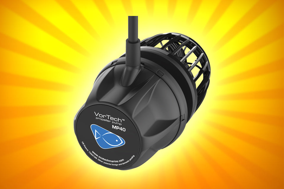 What to Look for in a Powerhead