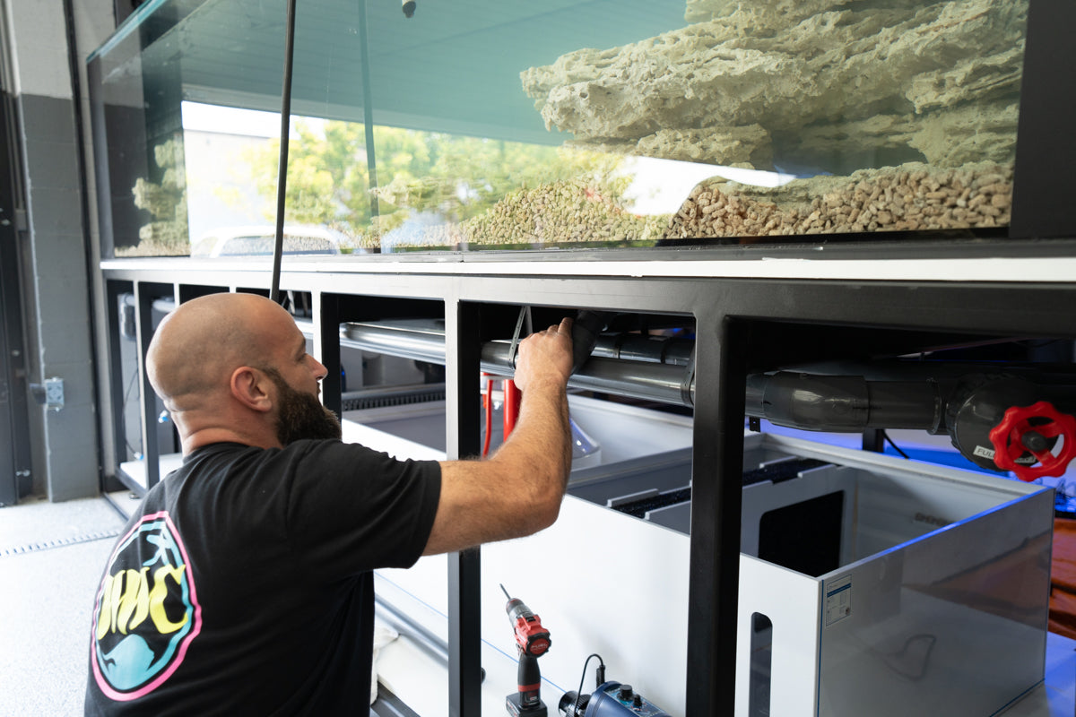 A 1,500-Gallon Masterpiece in California: Inside A Custom Reef Tank Build