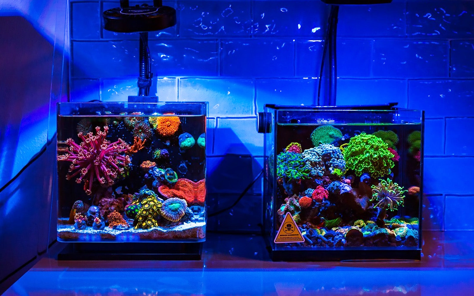 Signs and Symptoms of Old Tank Syndrome