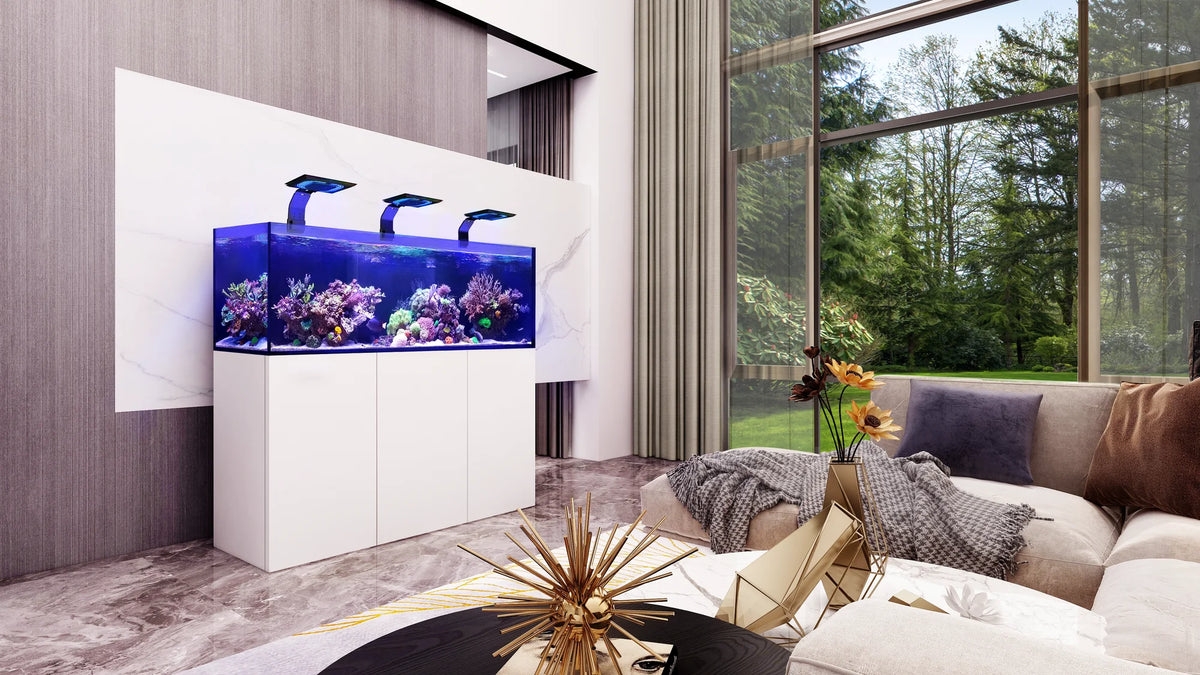 Maxspect Lagoon Reef-Ready LR-150 — Rimless Reef Aquarium System