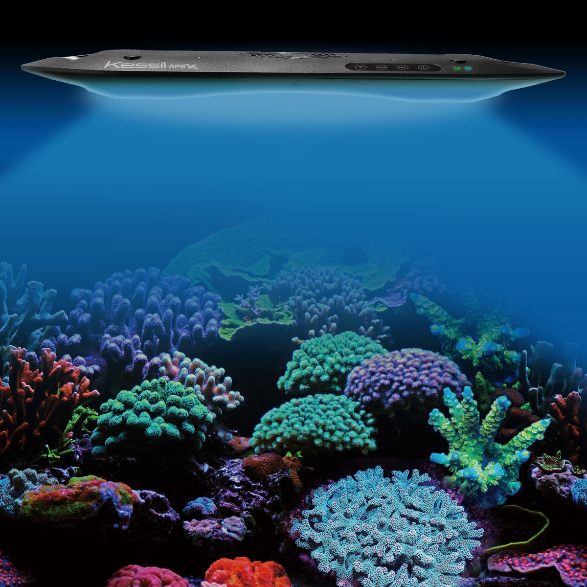 Kessil AP9X LED Aquarium Light