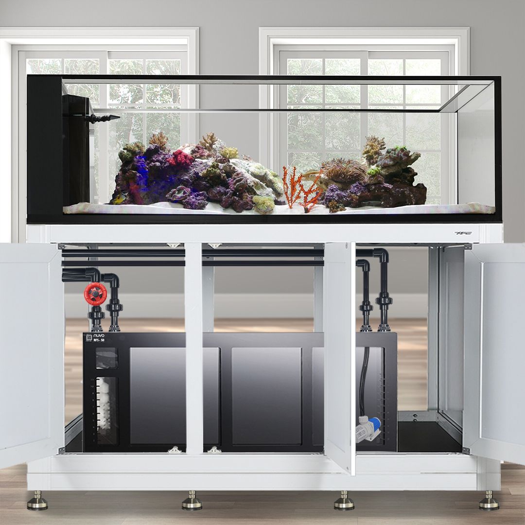 INT 200 Gallon Peninsula Complete Reef System