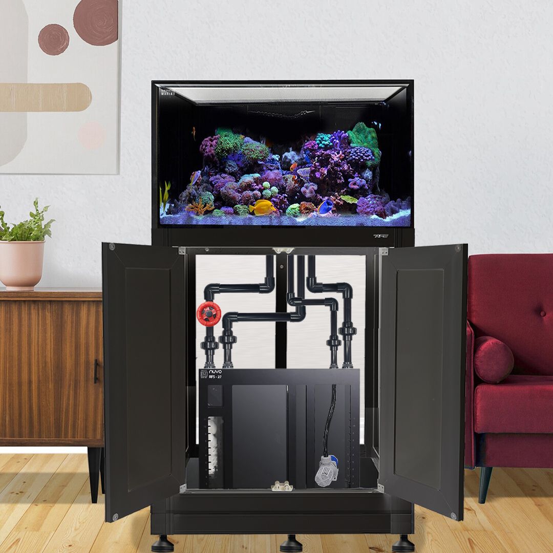 INT 112 Gallon Lagoon Aquarium Complete Reef System