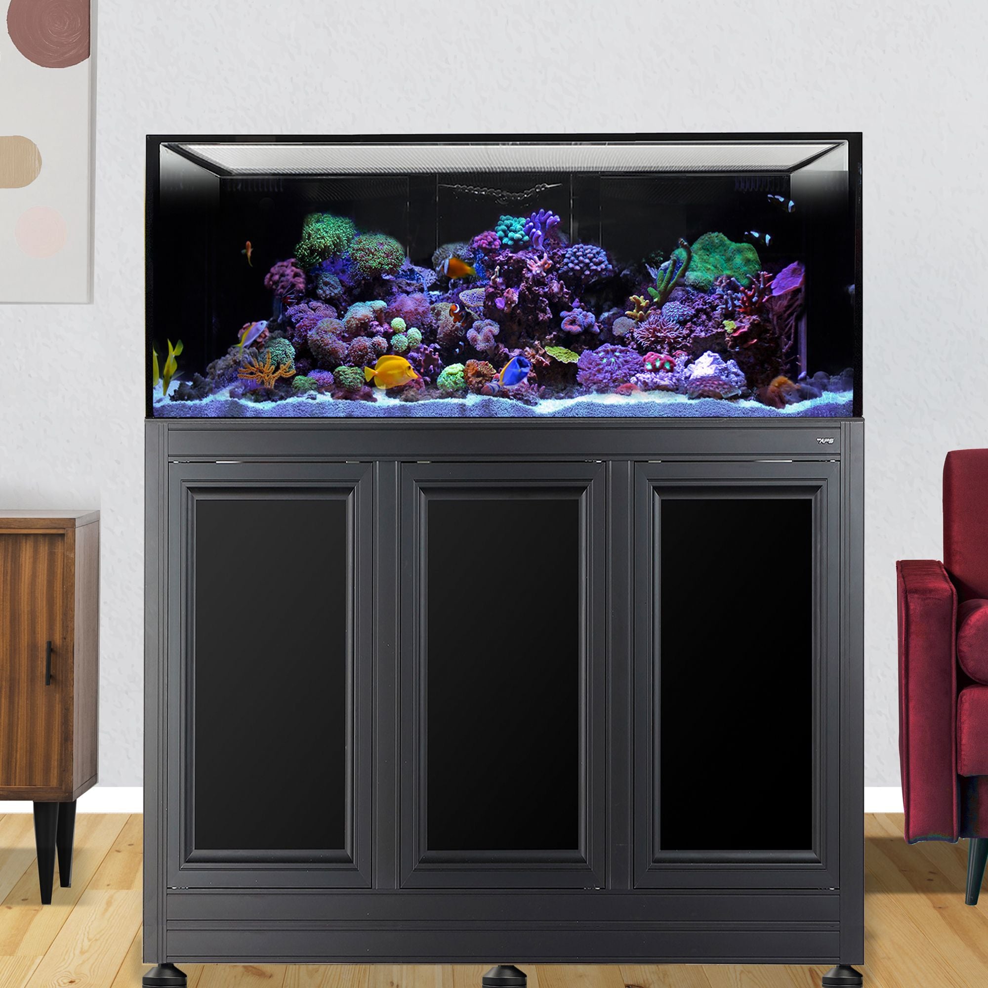 Innovative Marine INT 100 Gallon Complete Reef System