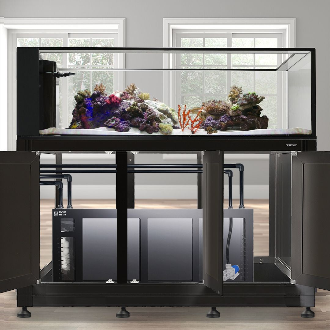 INT 200 Gallon Peninsula Complete Reef System
