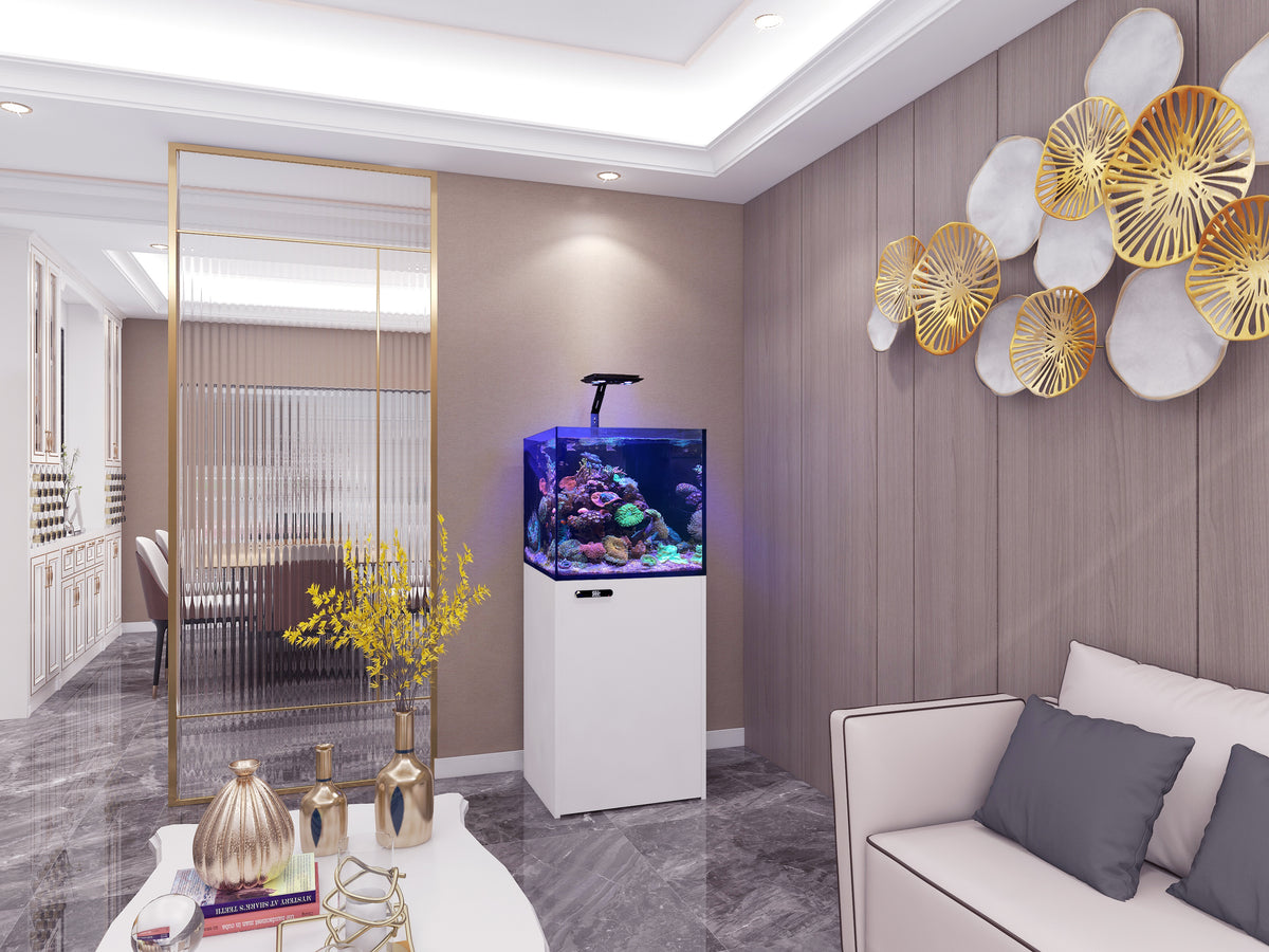 Maxspect Lagoon Reef-Ready LR-60 — Rimless Reef Aquarium System