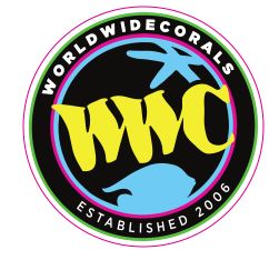 WWC Logo Sticker