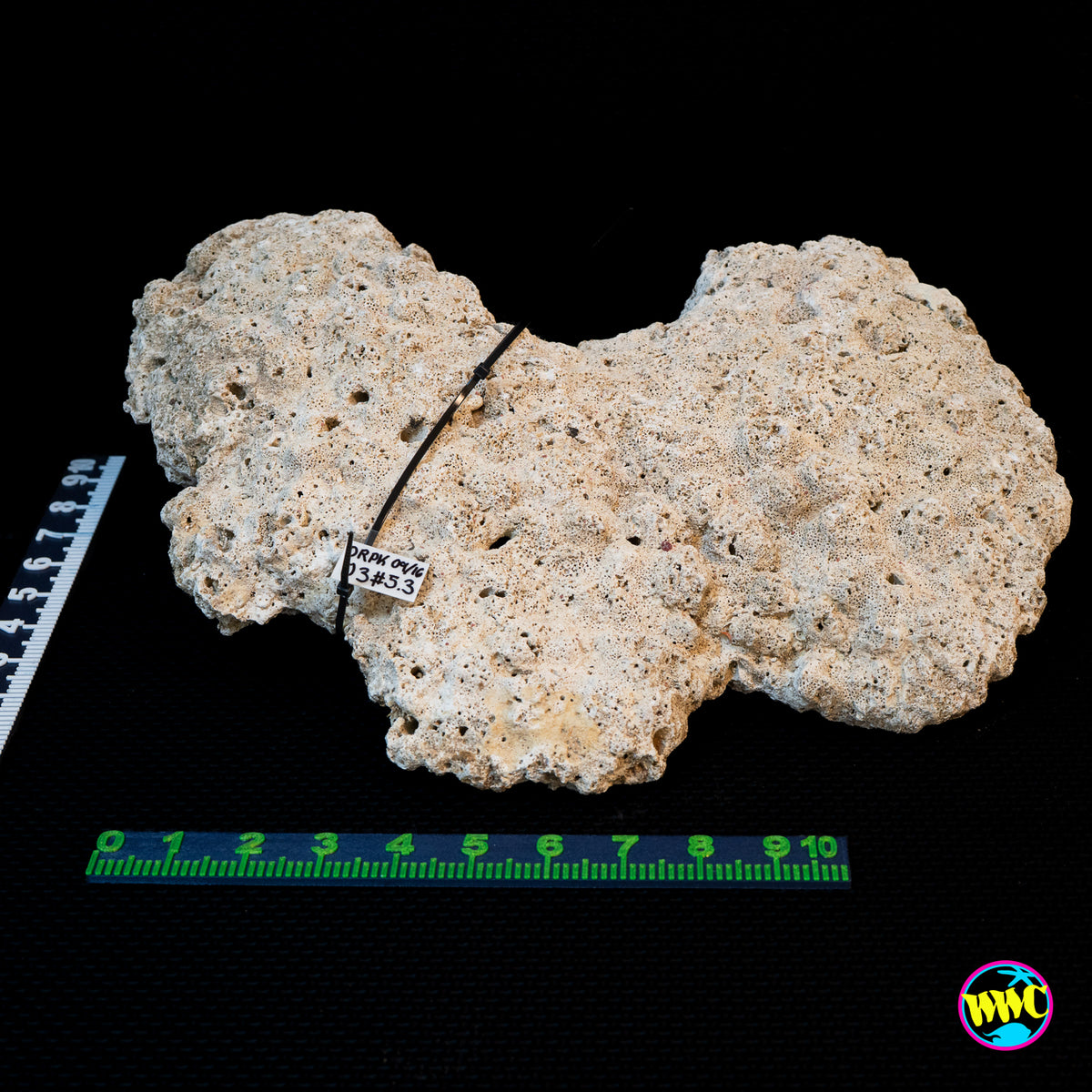 Pukani Dry Rock WYSIWYG #24