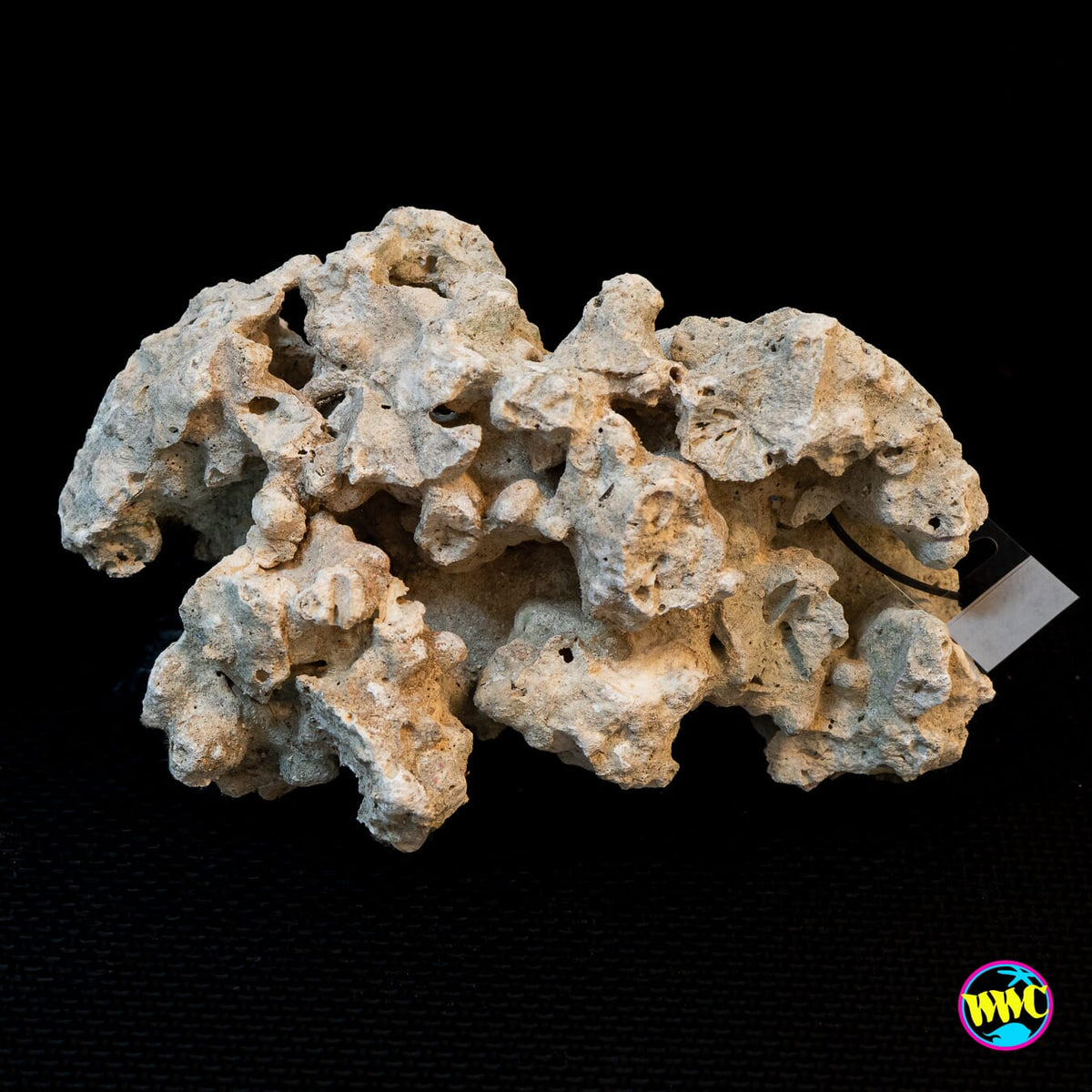 Pukani Dry Rock WYSIWYG #9