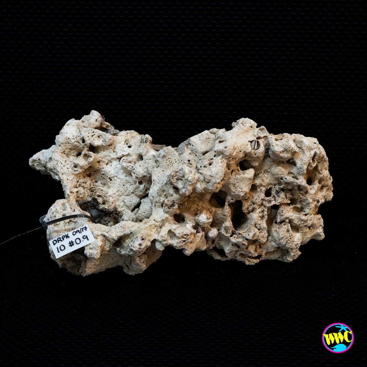 Pukani Dry Rock WYSIWYG #10