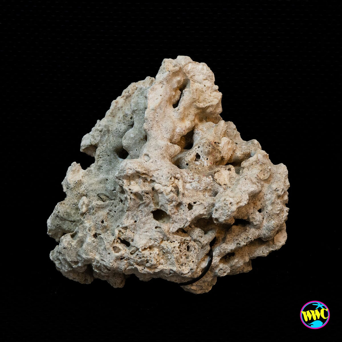 Pukani Dry Rock WYSIWYG #12
