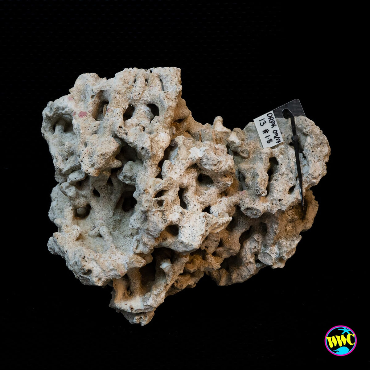 Pukani Dry Rock WYSIWYG #13