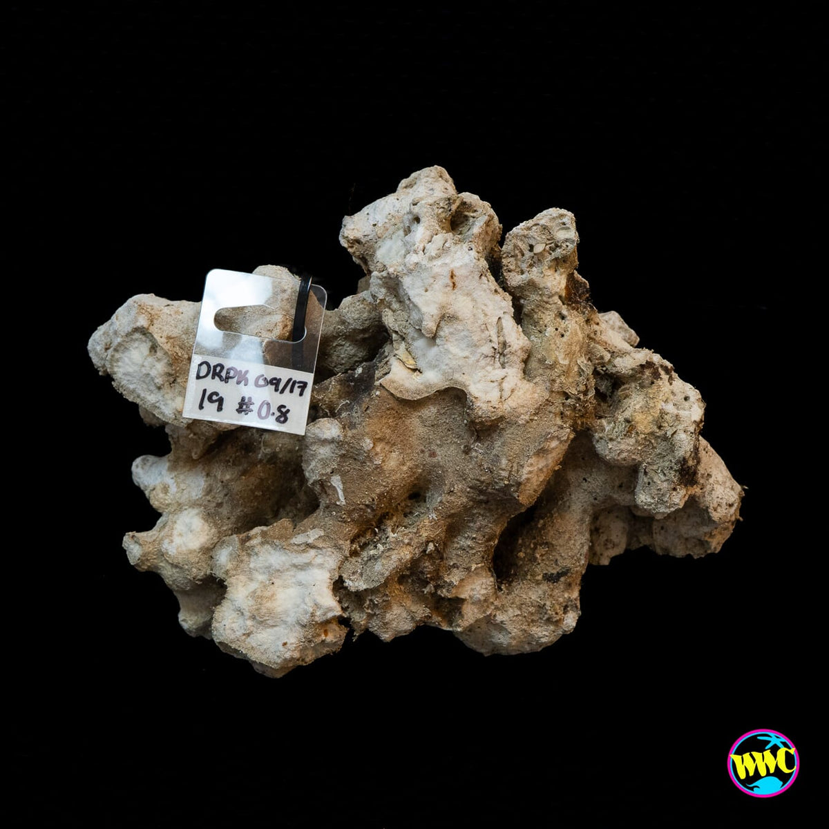 Pukani Dry Rock WYSIWYG #19