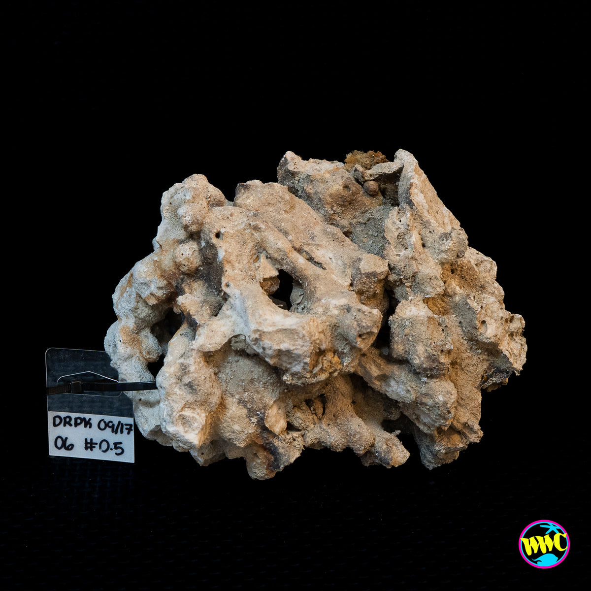 Pukani Dry Rock WYSIWYG #6