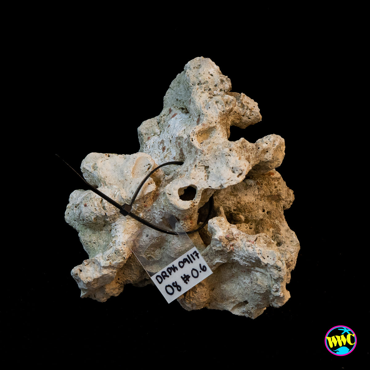 Pukani Dry Rock WYSIWYG #8