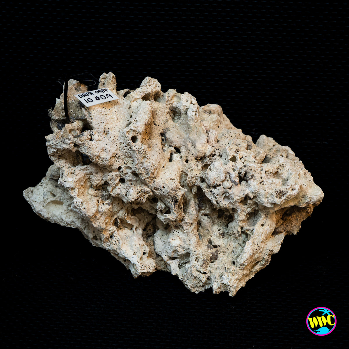 Pukani Dry Rock WYSIWYG #10