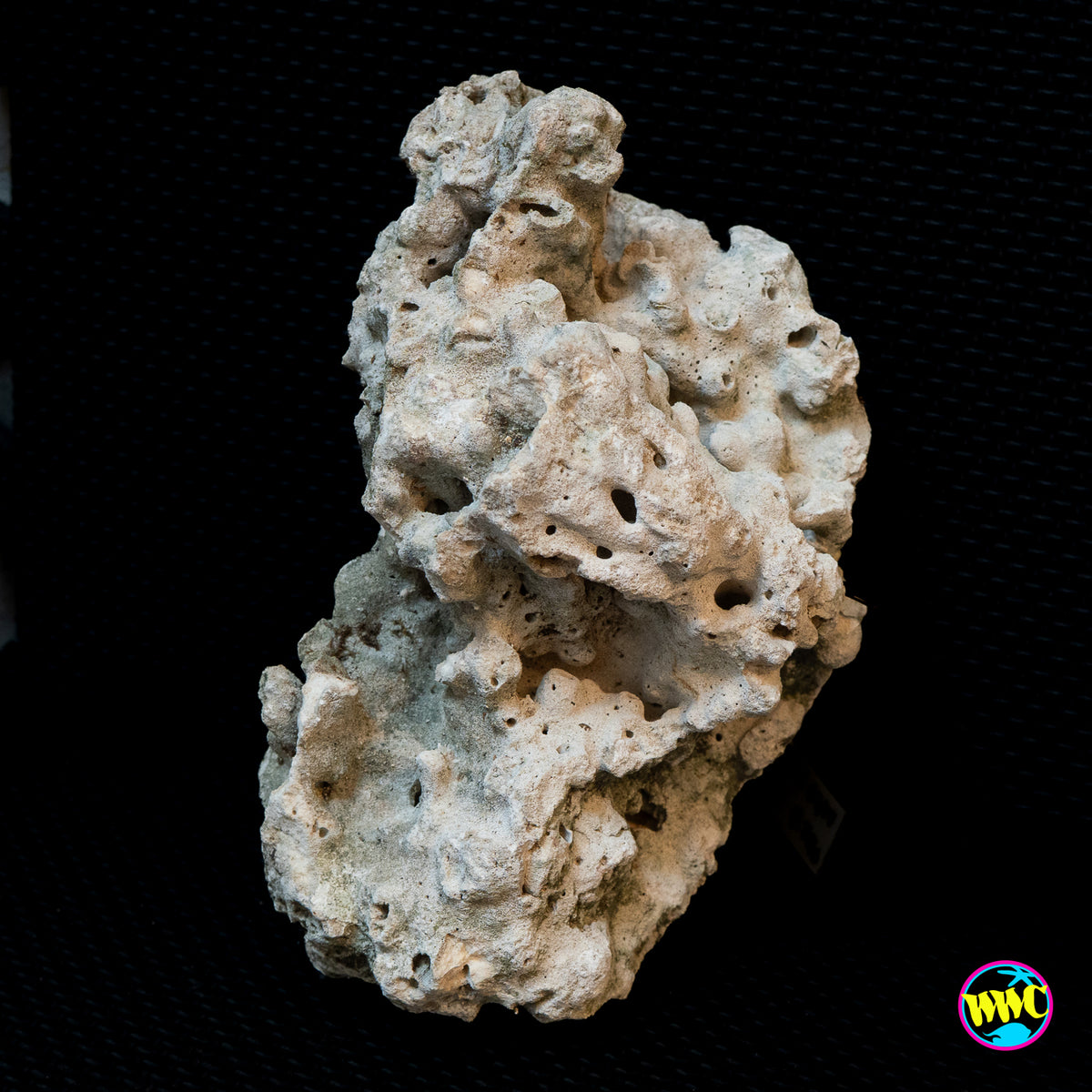 Pukani Dry Rock WYSIWYG #1