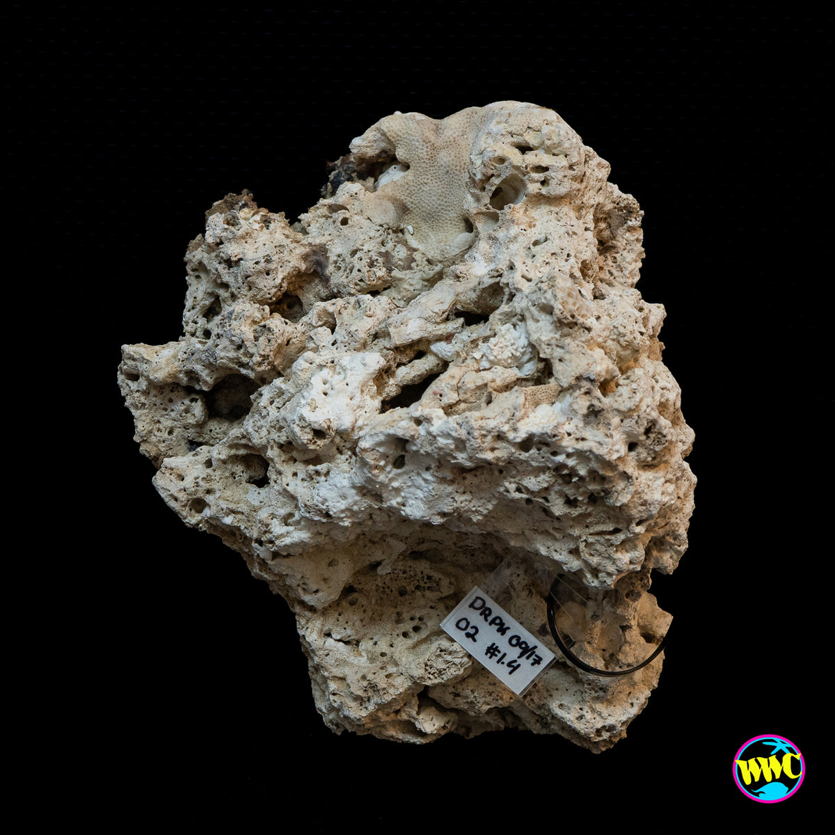 Pukani Dry Rock WYSIWYG #2