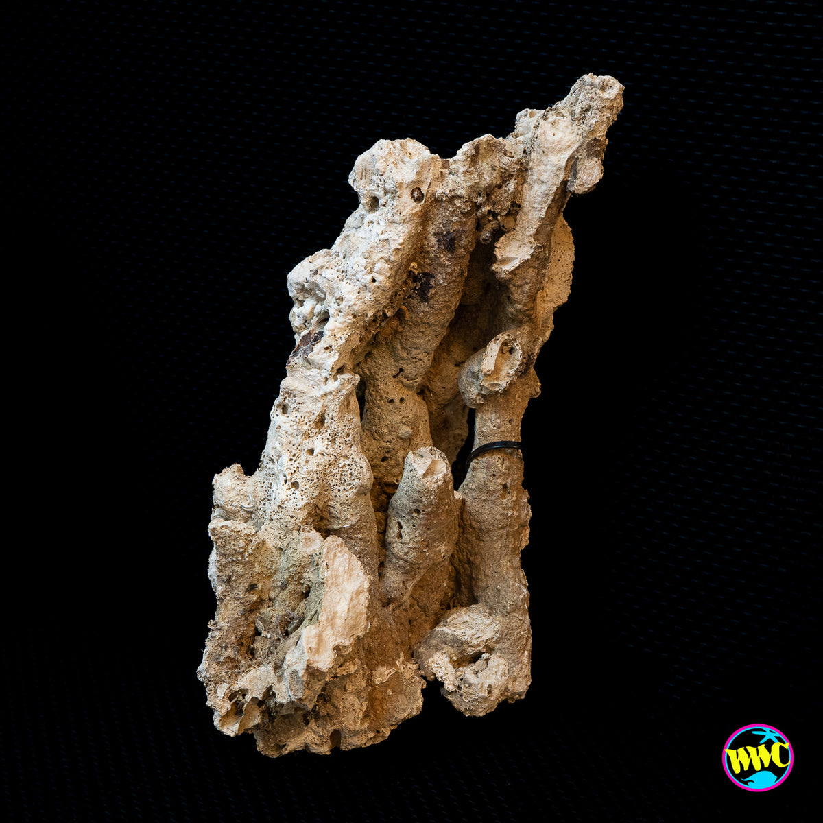 Pukani Dry Rock WYSIWYG #7