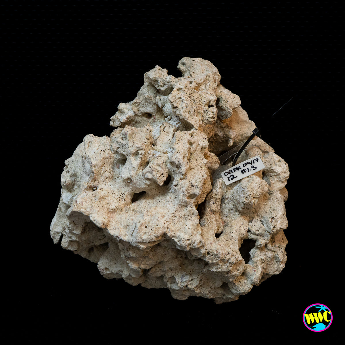 Pukani Dry Rock WYSIWYG #12