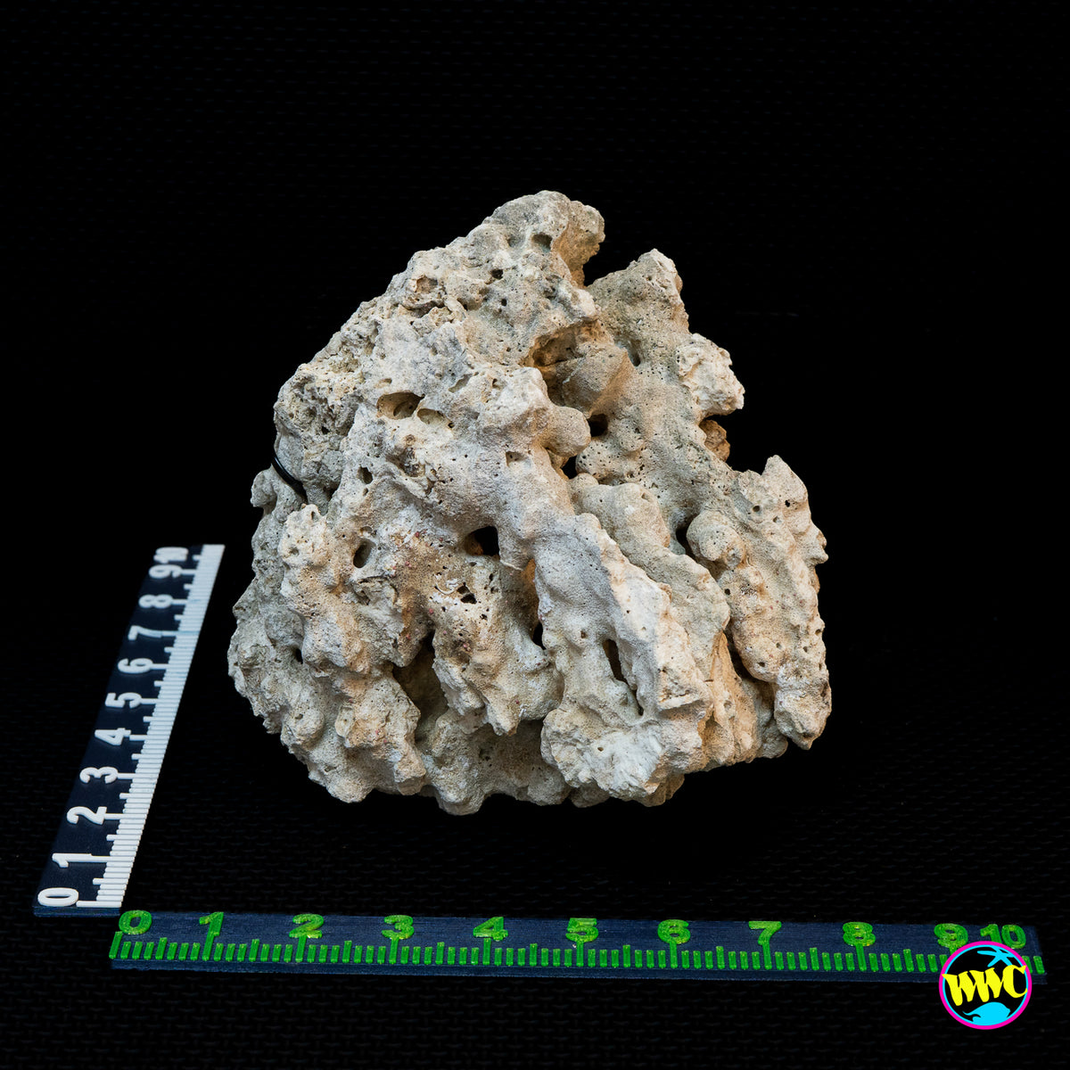 Pukani Dry Rock WYSIWYG #12