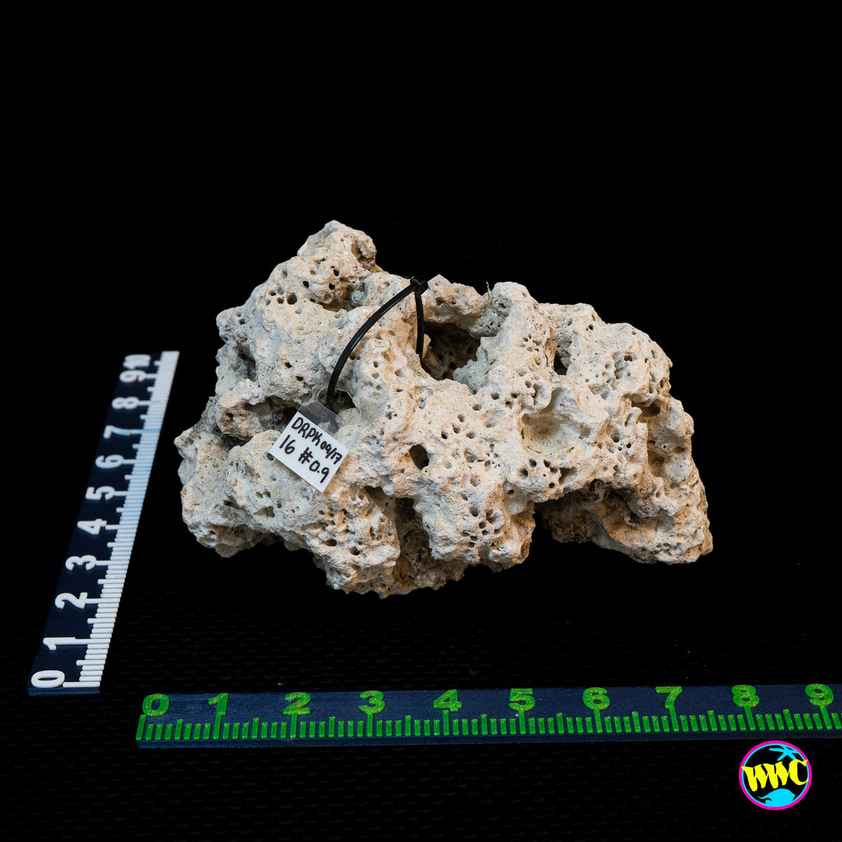 Pukani Dry Rock WYSIWYG #16
