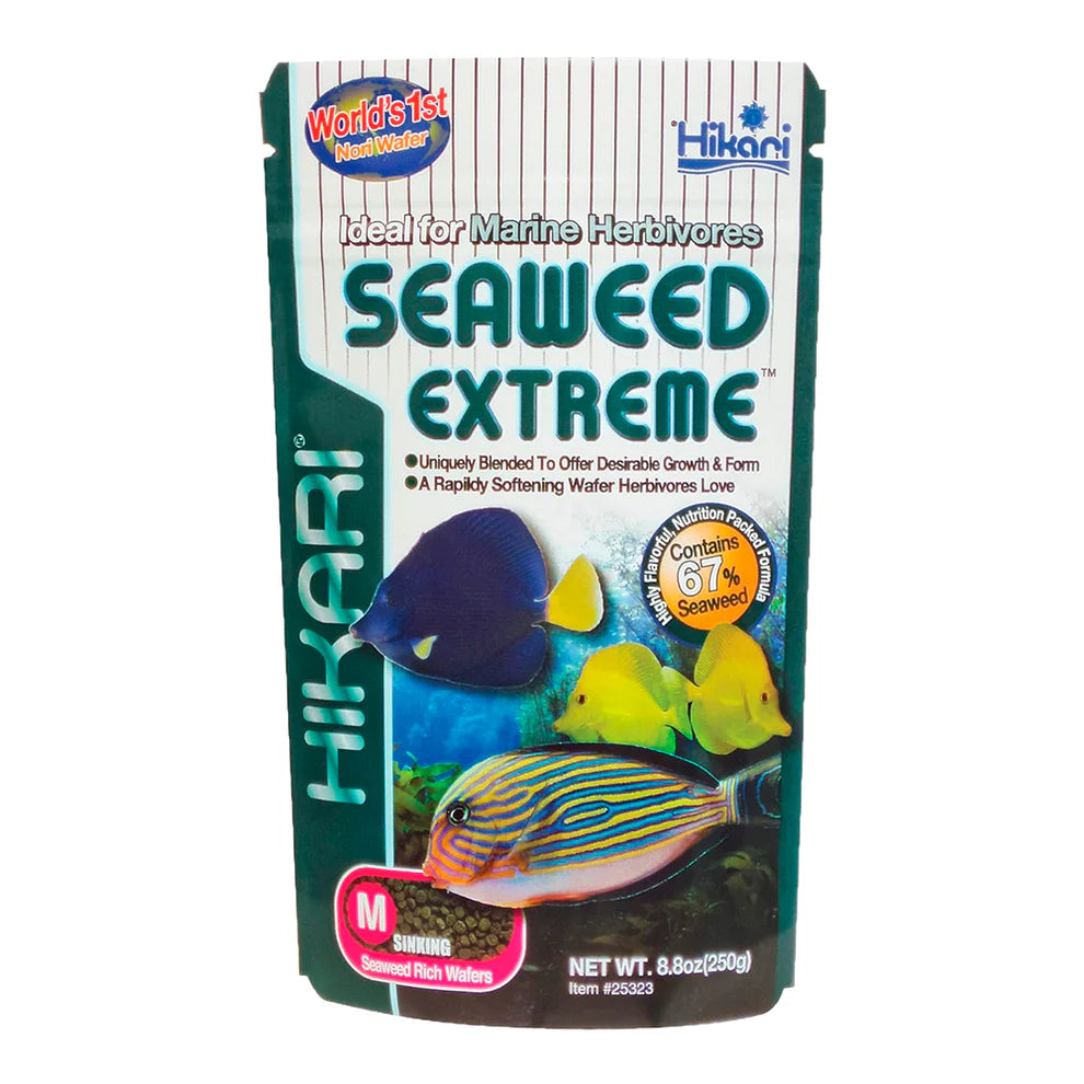 Hikari Seaweed Extreme Medium Pellet - 8.8 oz.
