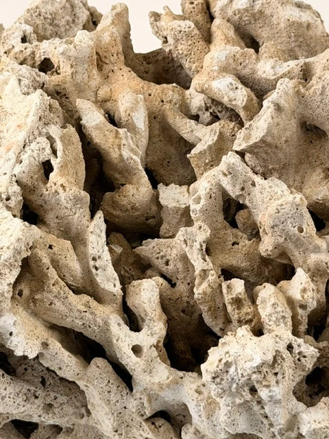 Pukani Dry Rock – 20 lb