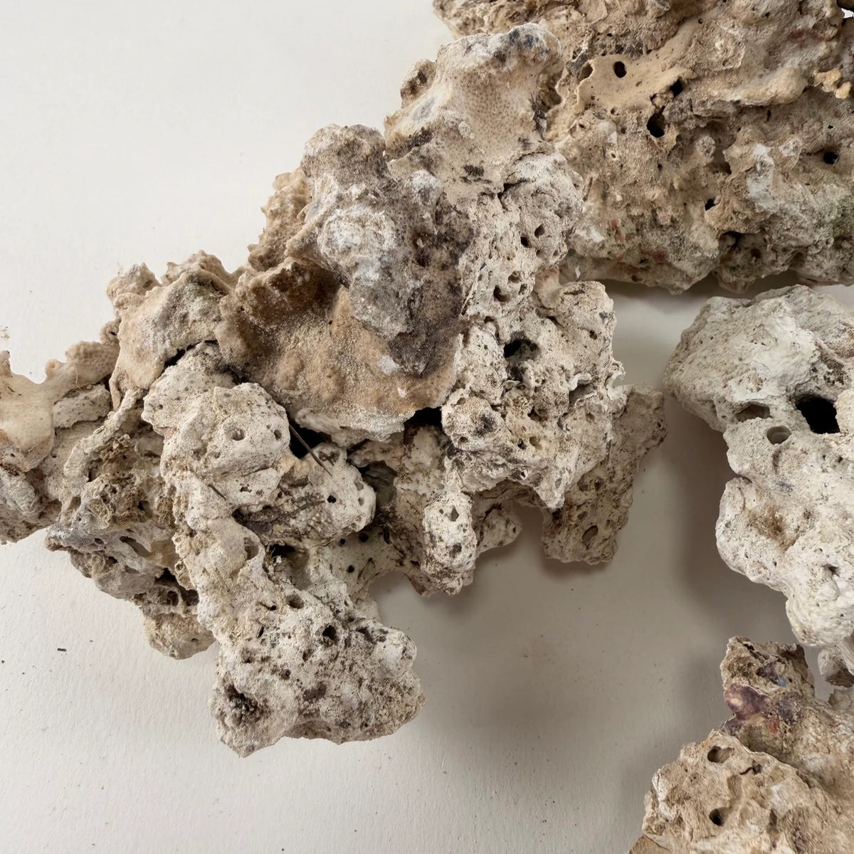 Pukani Dry Rock – 20 lb
