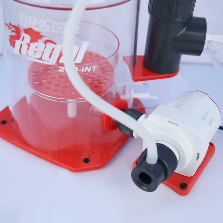 Octo Regal 300INT Protein Skimmer
