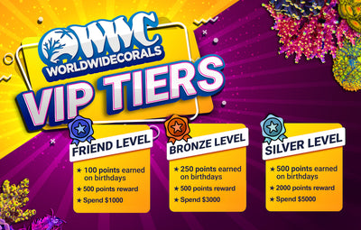 Reward Points