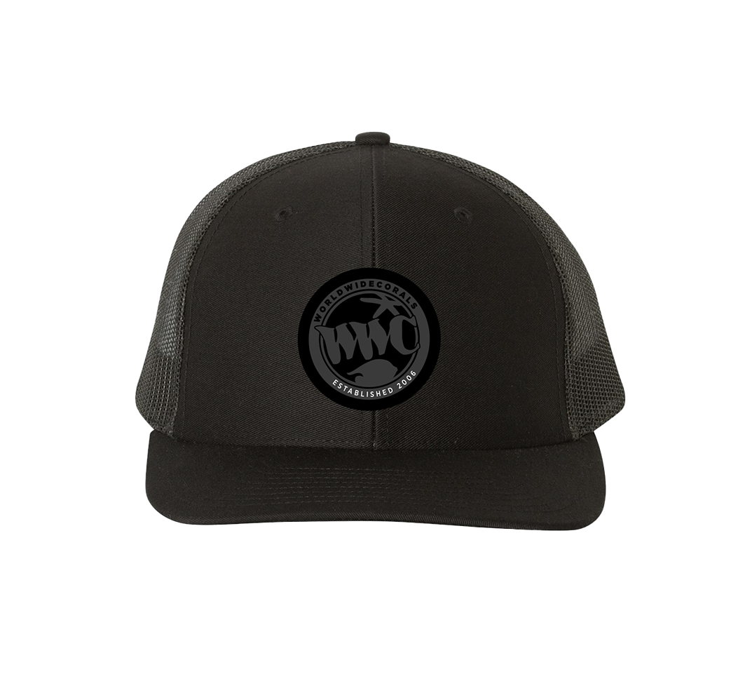 WWC PVC Patch Snapback Hat