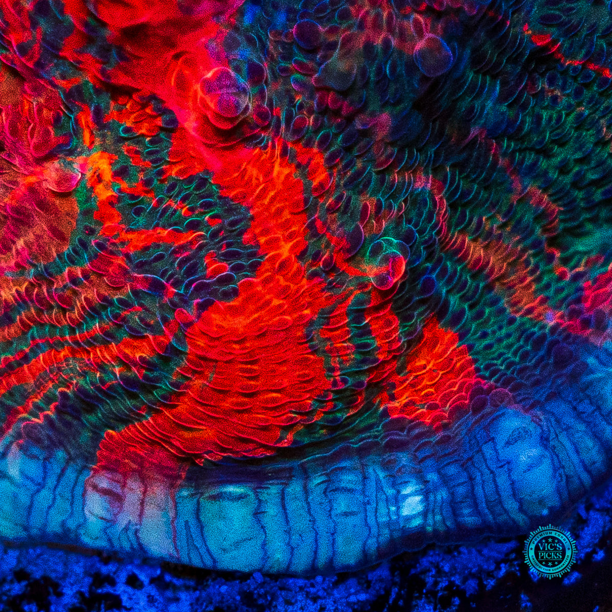 WWC Oil Spill Chalice