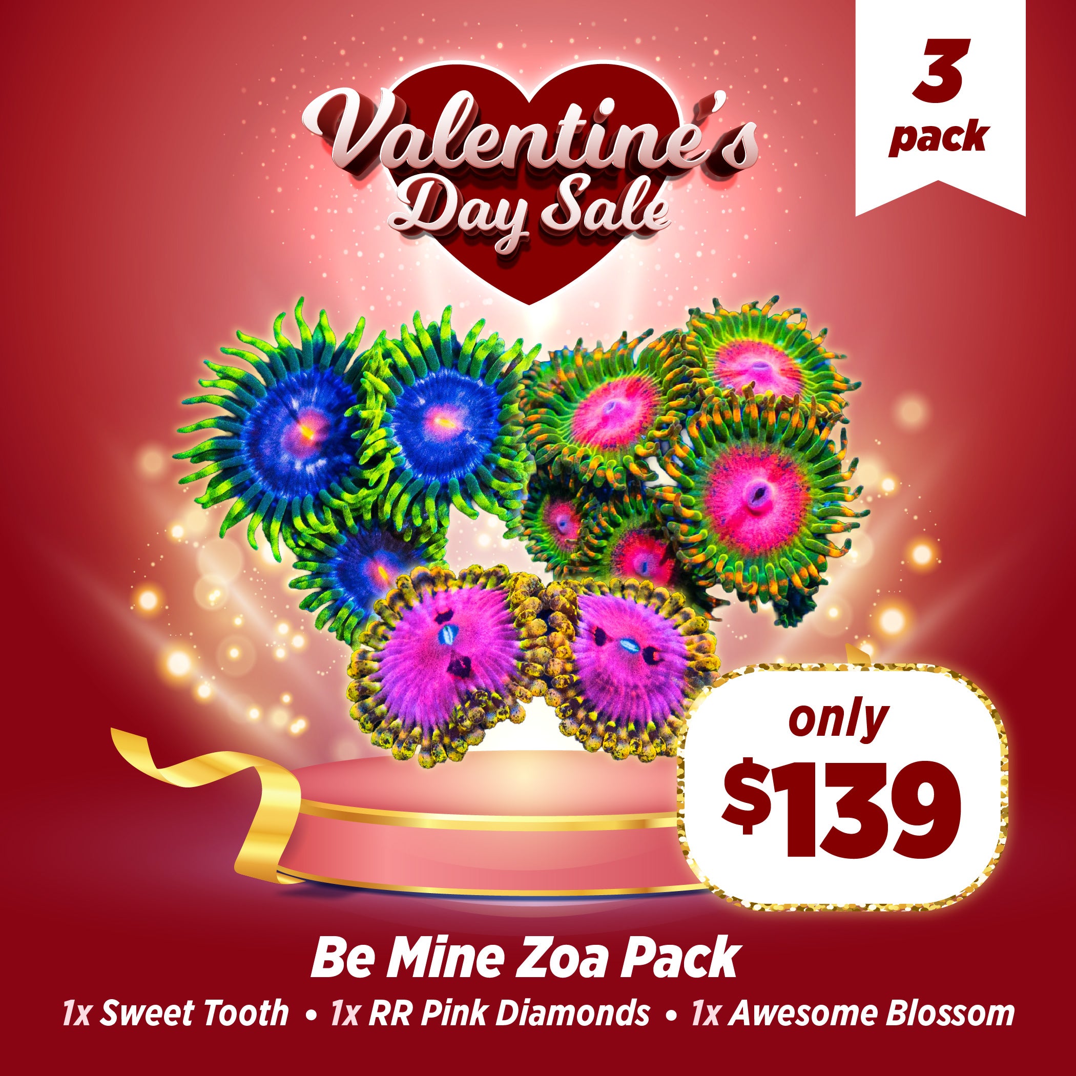 Be Mine Zoanthid 3 Pack