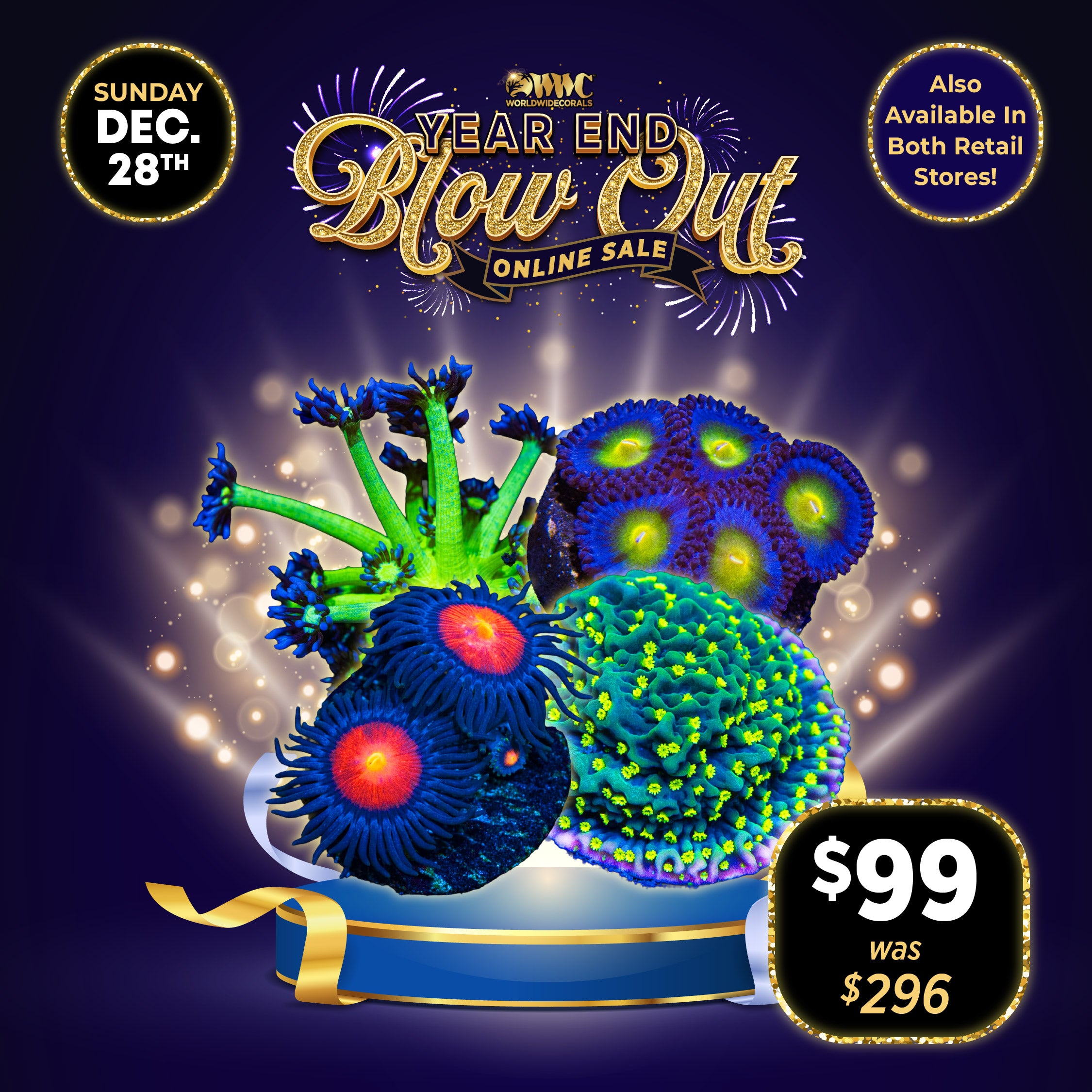 Year End Blow Out Pack 10