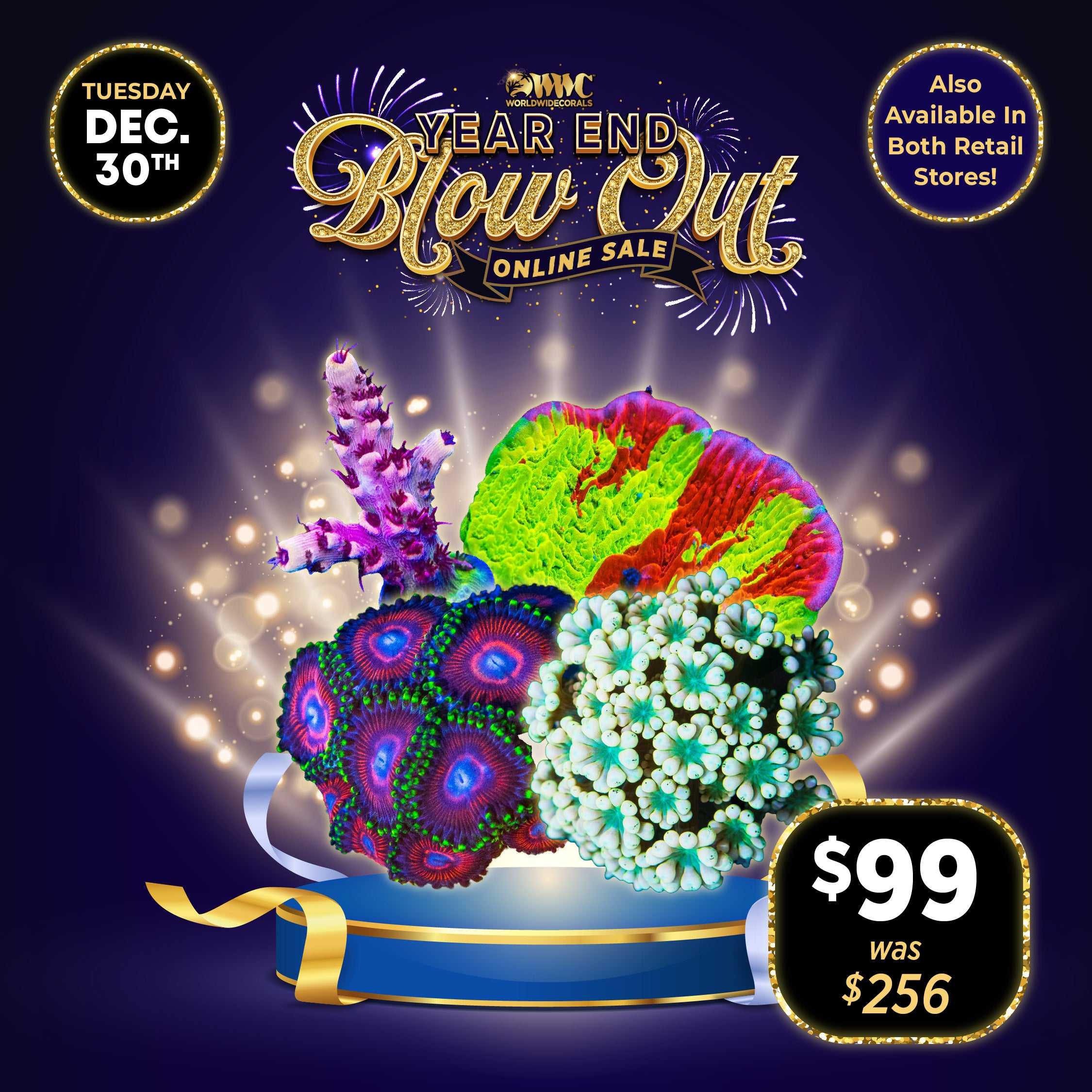 Year End Blow Out Pack 12