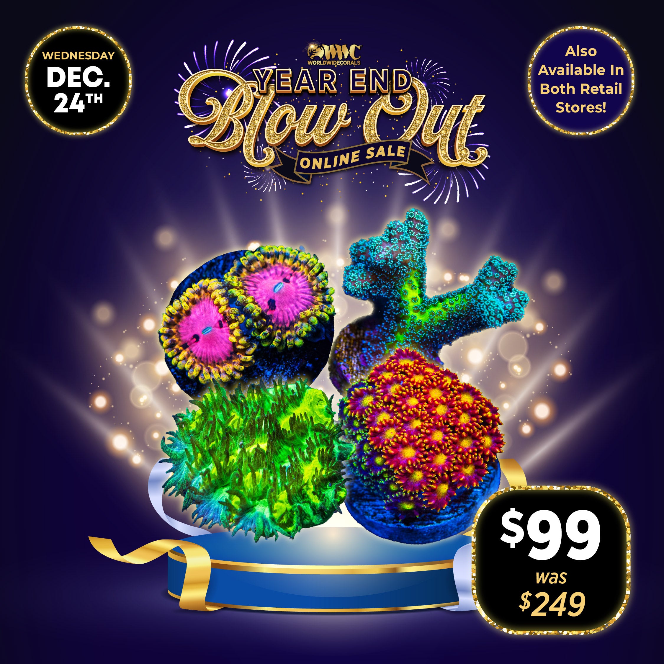 Year End Blow Out Pack 6