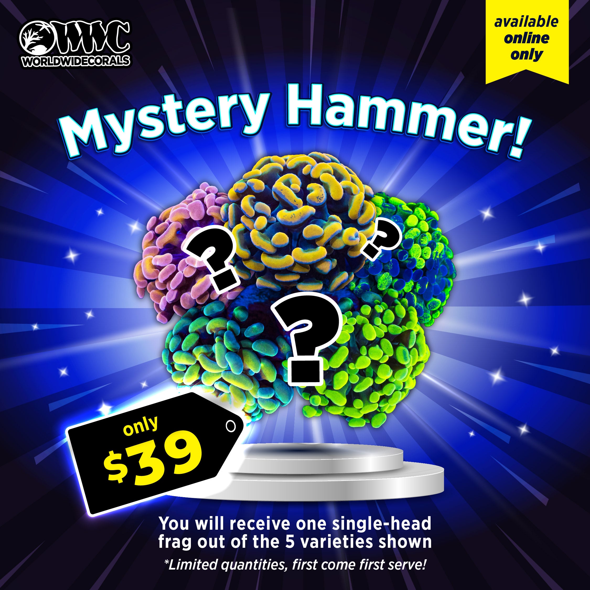WWC Feature Friday - Mystery Hammer!