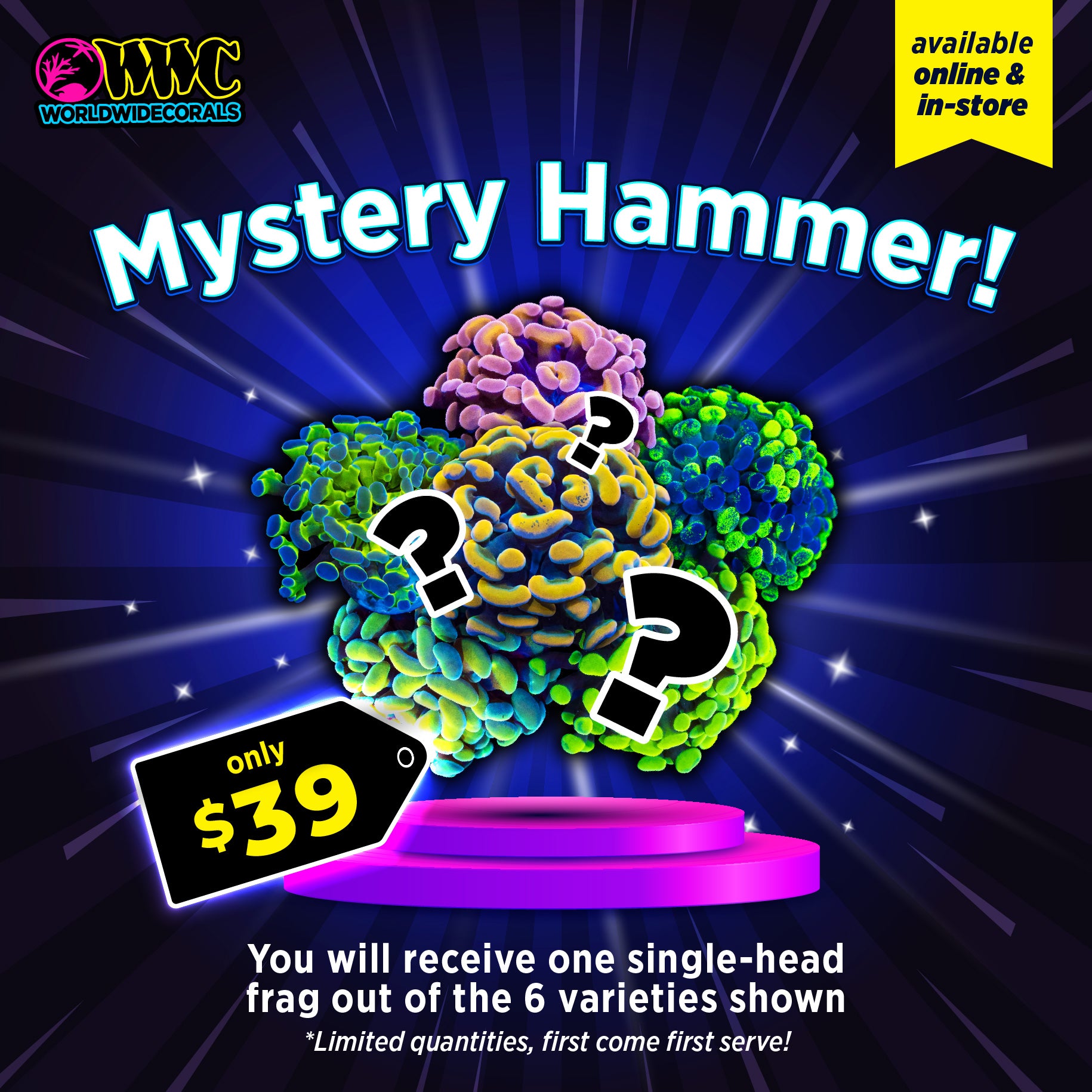 WWC Feature Friday - Mystery Hammer!