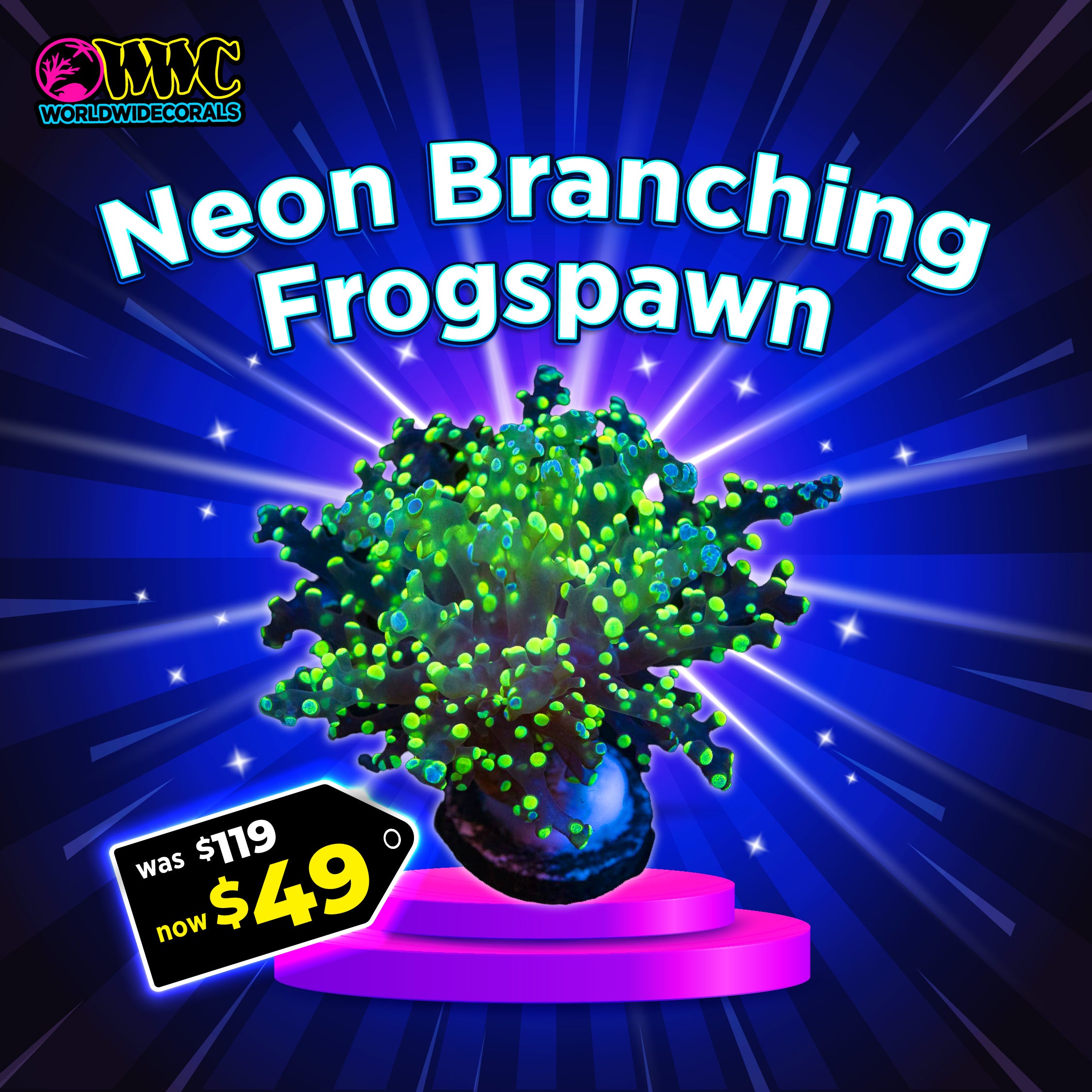 Neon Branching Frogspawn