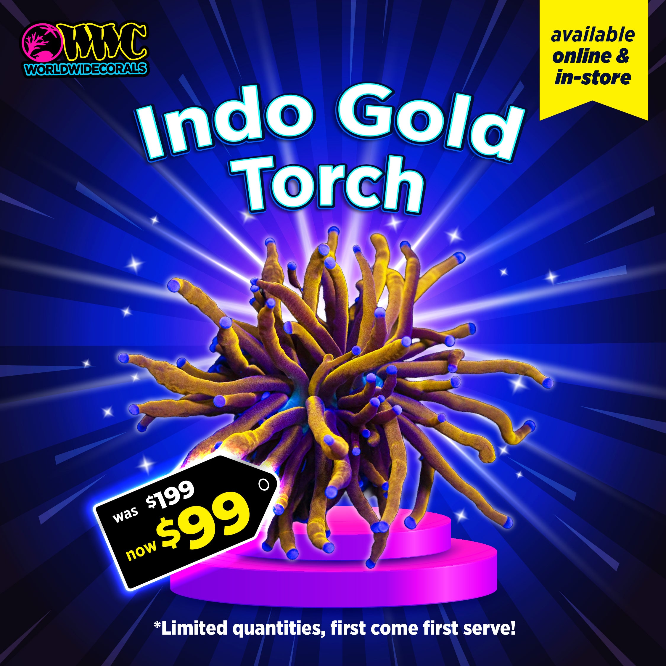 WWC Feature Friday - Indo Gold Torch