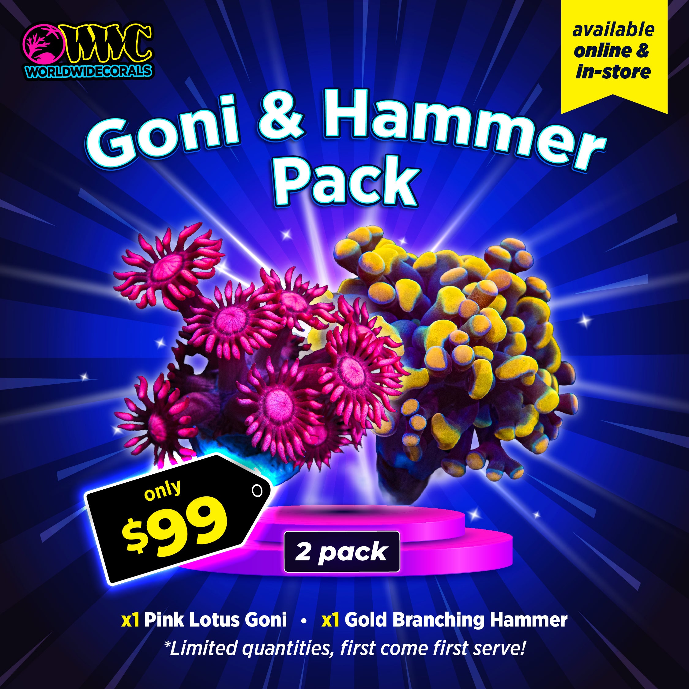 WWC Feature Friday - Goni & Hammer Pack