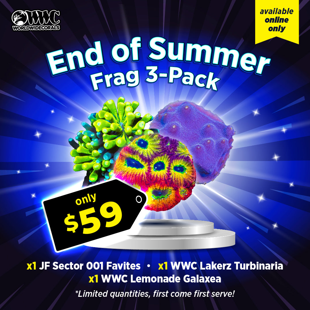 WWC Feature Friday - End of Summer Frag Pack