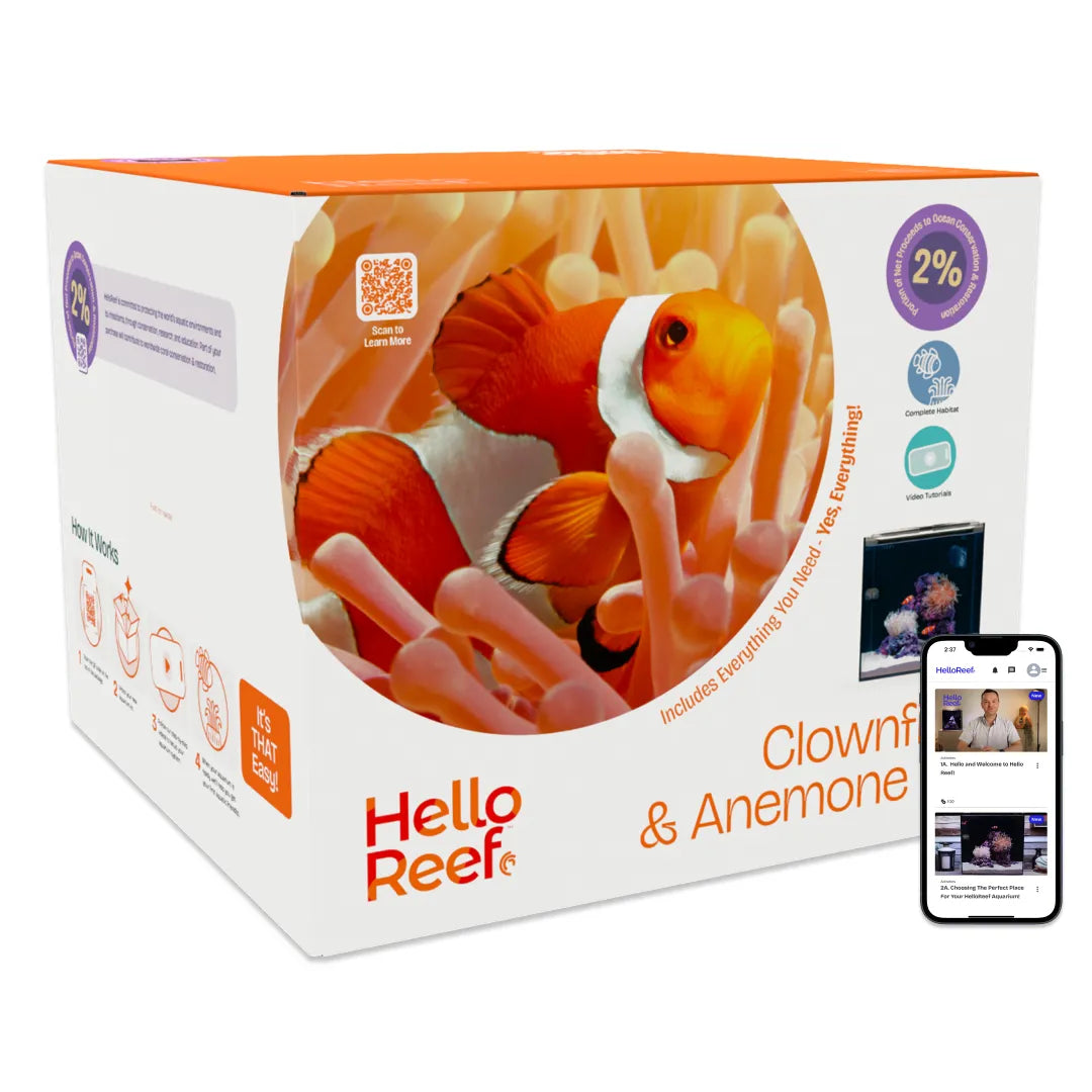Hello Reef Clownfish & Anemone Aquarium Kit