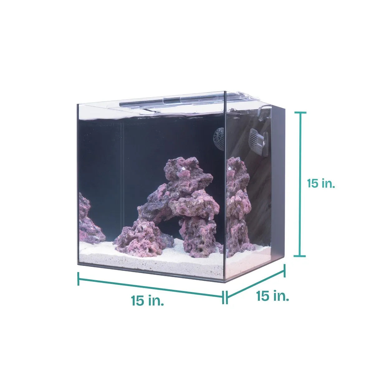 Hello Reef Clownfish & Anemone Aquarium Kit