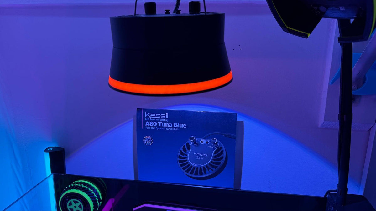 Kessil A80 Tuna Blue LED Aquarium Light