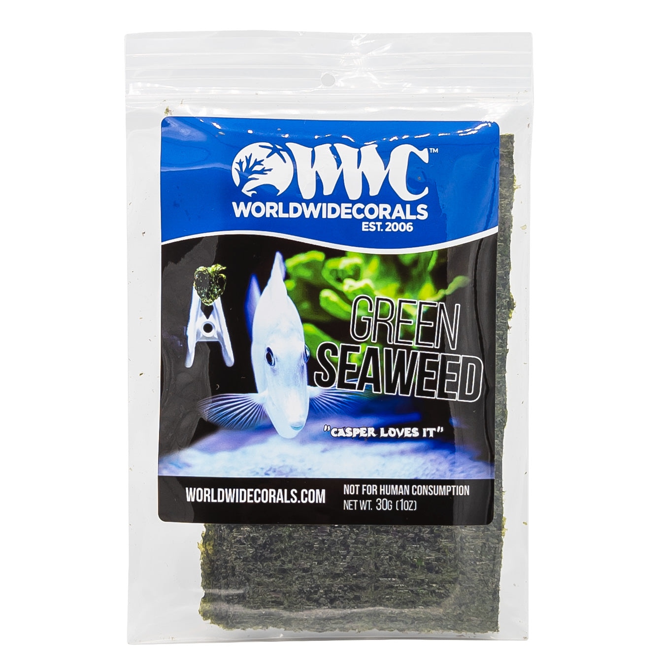 WWC Green Seaweed
