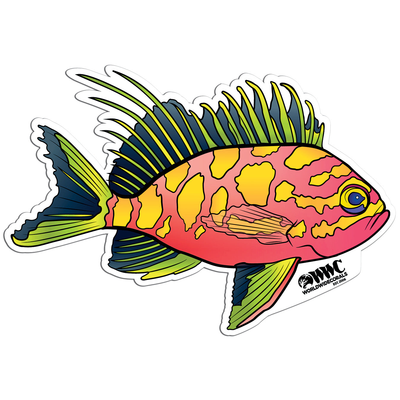 Blotched Anthias Sticker