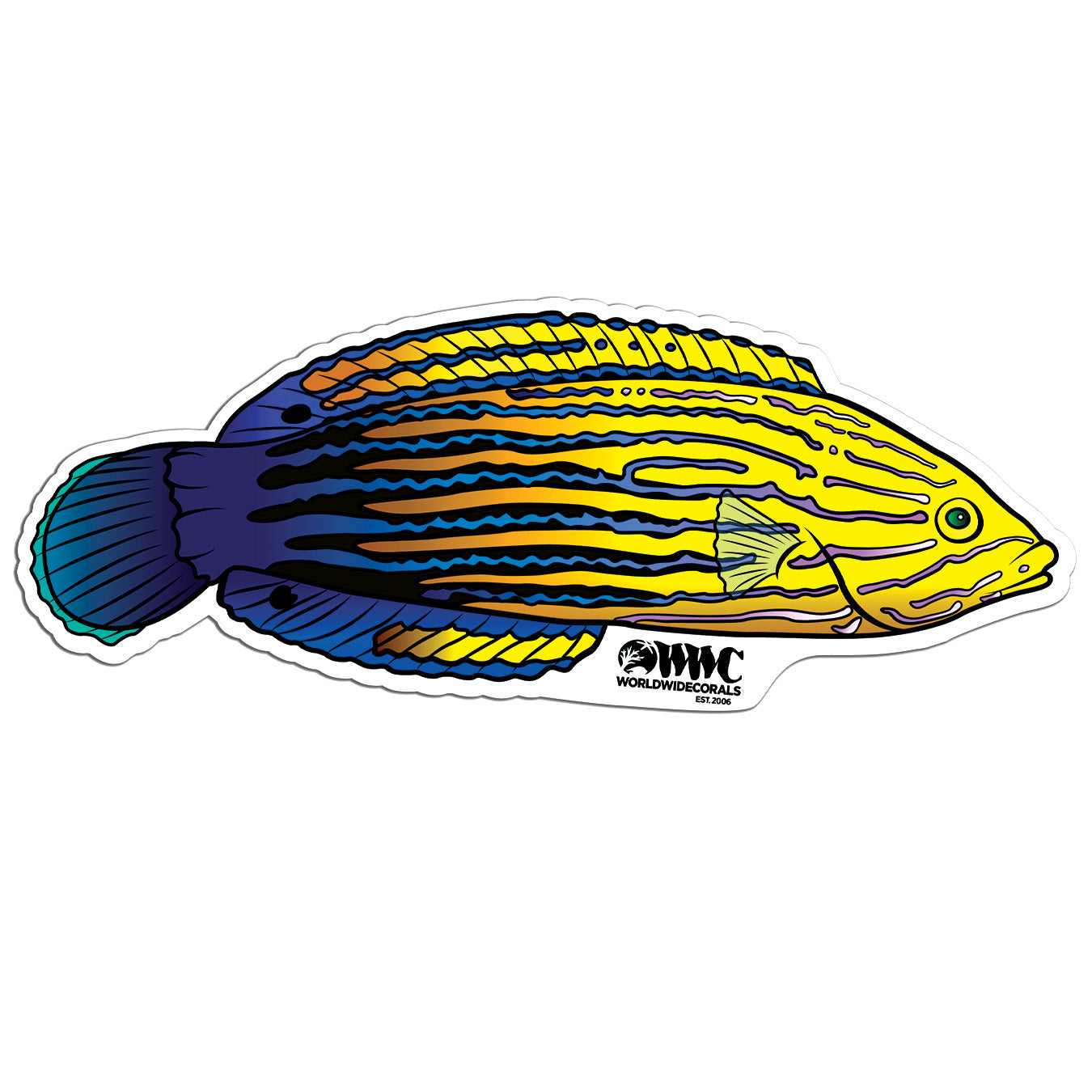 Femininus Wrasse Sticker