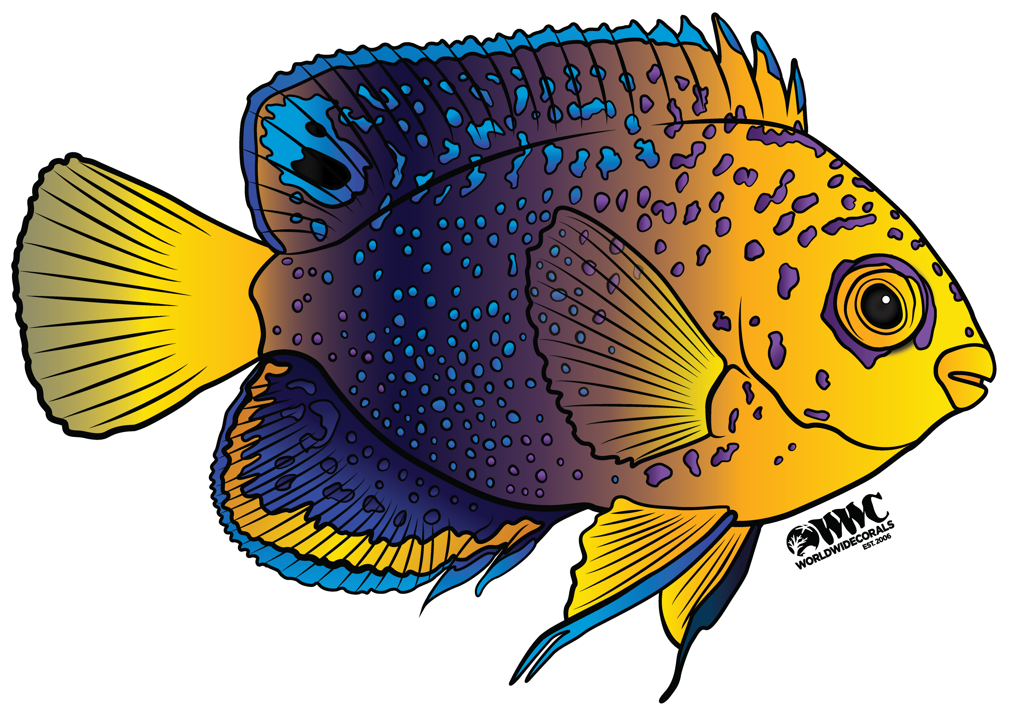 Interruptus Angelfish Sticker